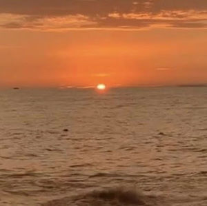 Meet your Posher, Mitchell